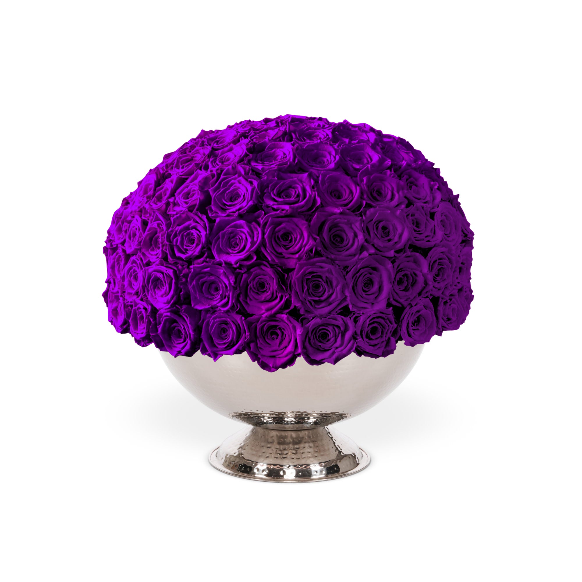 Bouquet of purple roses in a silver vase on a white background