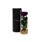 Black cylindrical container with a gold base holding a preserved purple rose on a white background
