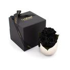 Black roses in a silver holder with a black box labeled 'Only Roses' on a white background