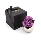 Purple roses in a silver vase with a black box labeled 'Only Roses' on a white background