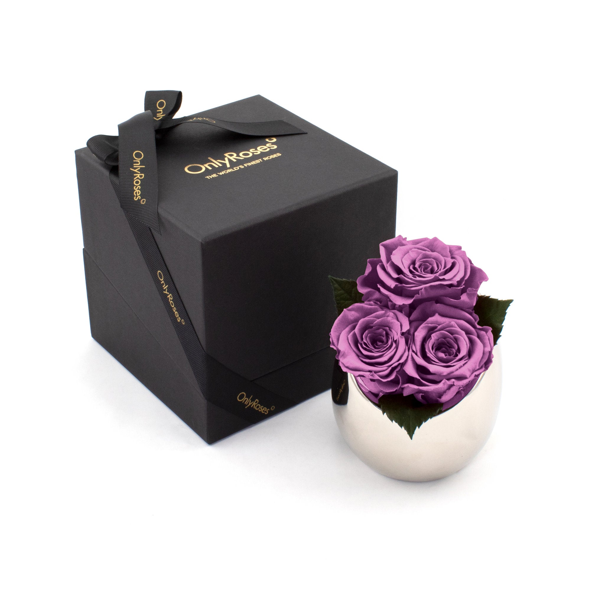 Purple roses in a silver vase with a black box labeled 'Only Roses' on a white background