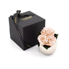 Pink roses in a silver vase next to a black box with 'Only Roses' branding on a white background