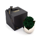 Three green roses in a silver vase next to an 'Only Roses' black box on a white background