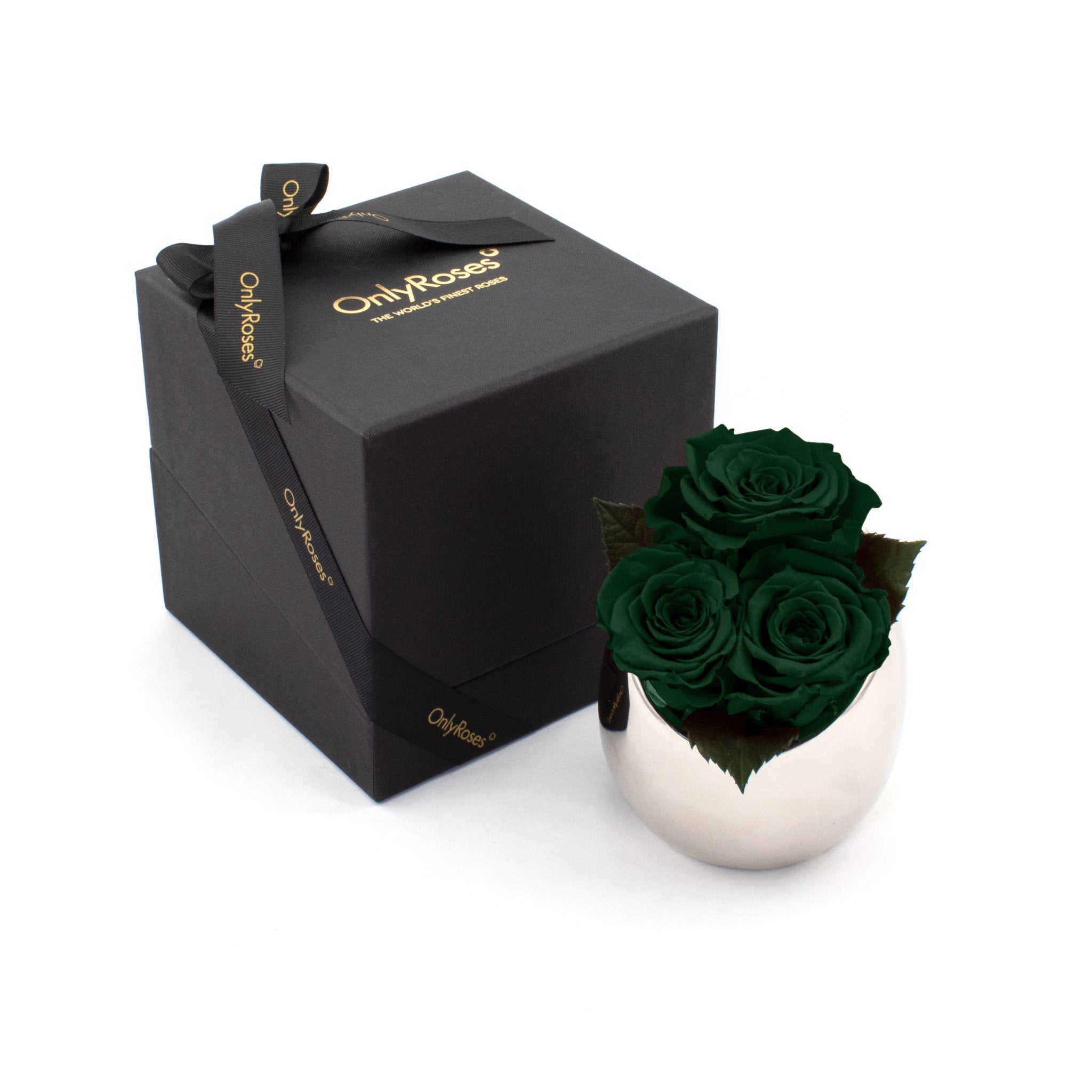 Three green roses in a silver vase next to an 'Only Roses' black box on a white background