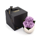 Purple roses in a white vase next to a black box with 'Only Roses' branding on a white background