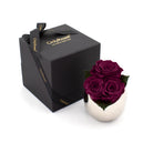 Three purple roses in a silver vase next to an 'Only Roses' black box on a white background