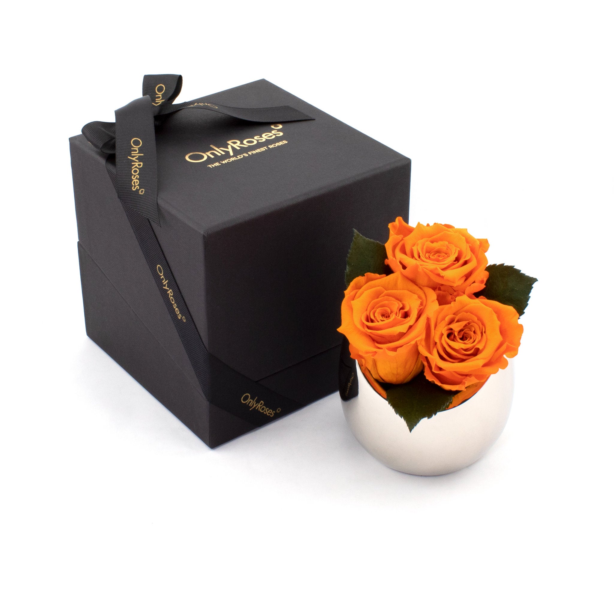 Three orange roses in a white vase next to an 'Only Roses' black box on a white background