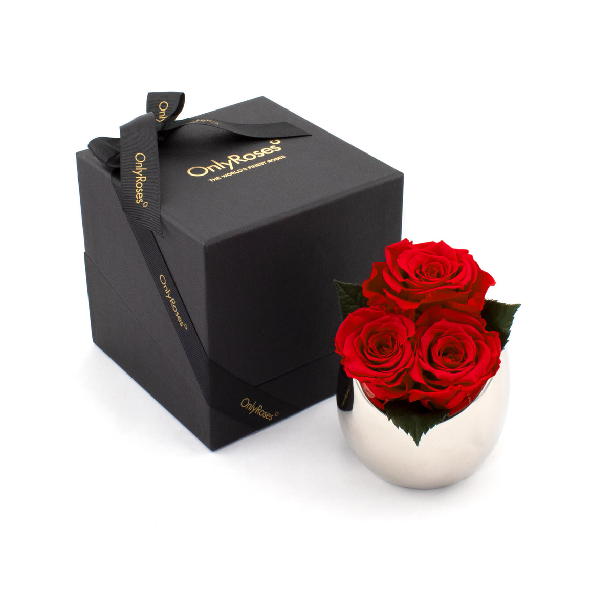 Infinite Rose Fortune - Red Tones | OnlyRoses Qatar