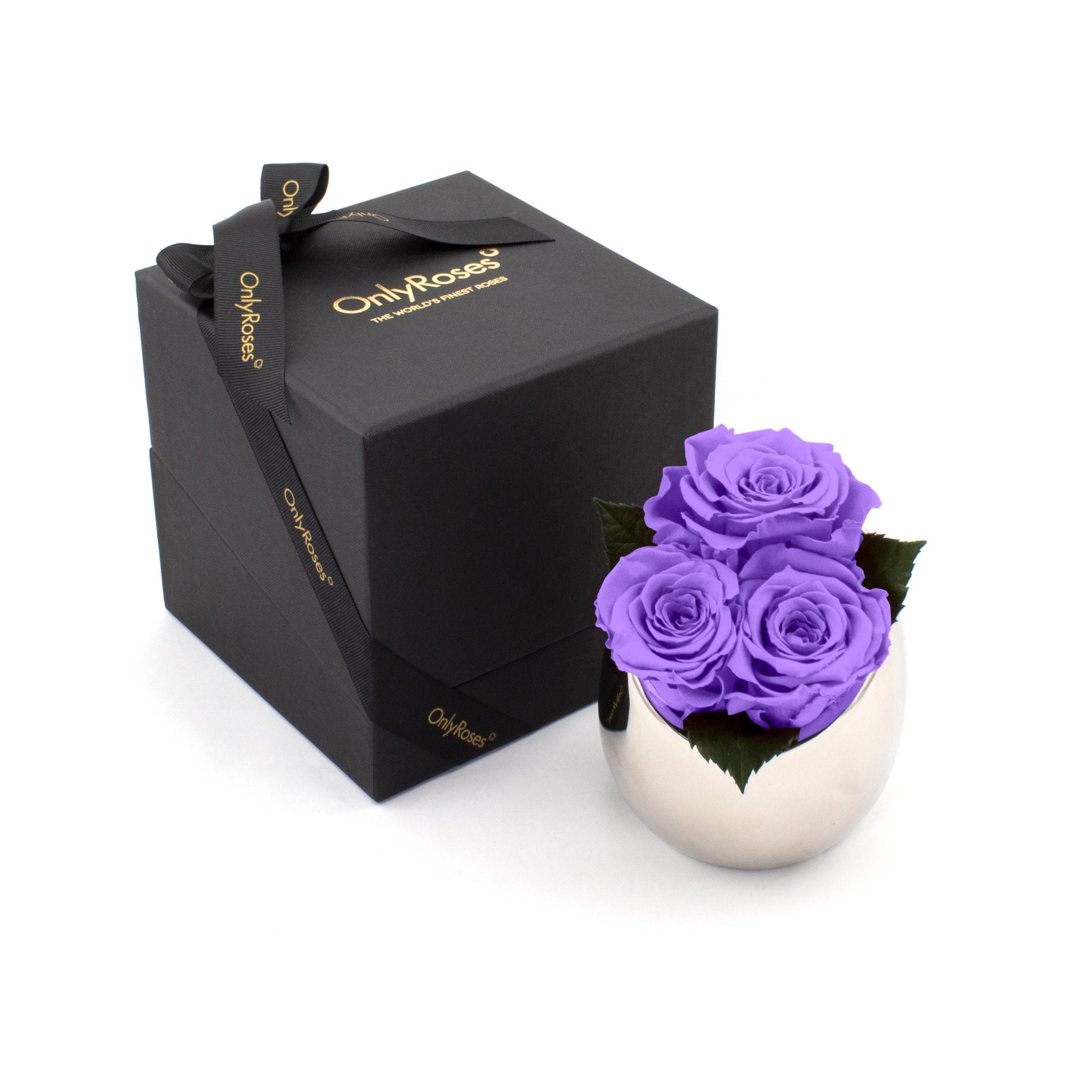 Purple roses in a white vase with a black box labeled 'Only Roses' on a white background