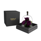 Purple roses under a glass dome in a black box with 'OnlyRoses' branding.