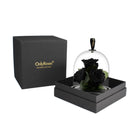 Black rose under a glass dome in a black box with 'OnlyRoses' branding.