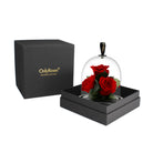 Red roses under a glass dome in a black box with 'OnlyRoses' branding.