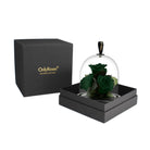 Black box with 'OnlyRoses' branding containing a glass dome with preserved green roses on a white background.
