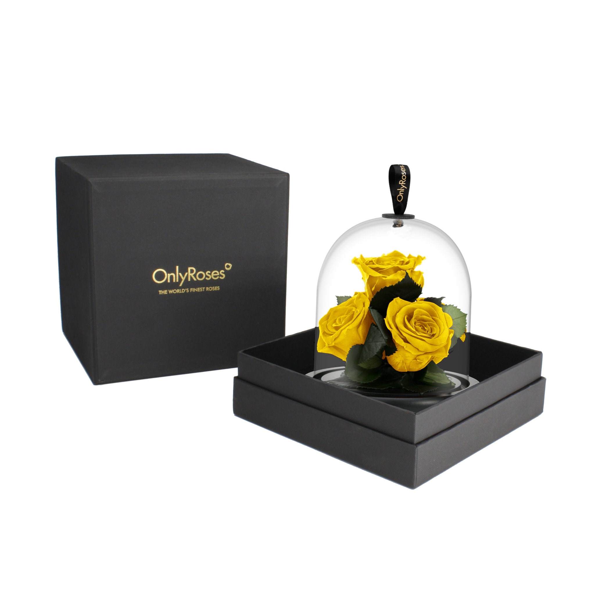 Yellow roses under a glass dome in a black box with 'OnlyRoses' branding.