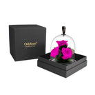 Two pink roses under a glass dome in a black box with 'OnlyRoses' branding.