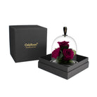 Black gift box with 'OnlyRoses' branding, containing a glass dome with preserved roses.