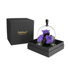 Purple roses under a glass dome in a black box with 'OnlyRoses' branding.