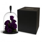 Purple roses under a glass dome with a black box on a white background