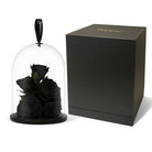 Black roses under a glass dome with a black box on a white background