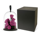 Purple roses under a glass dome with a black lid next to a black box on a white background