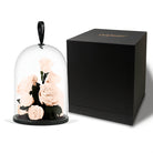Glass dome with preserved flowers and a black box on a white background