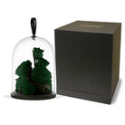 Dark green roses under a glass dome with a black box on a white background