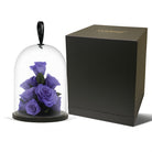 Purple roses in a glass dome with a black box on a white background