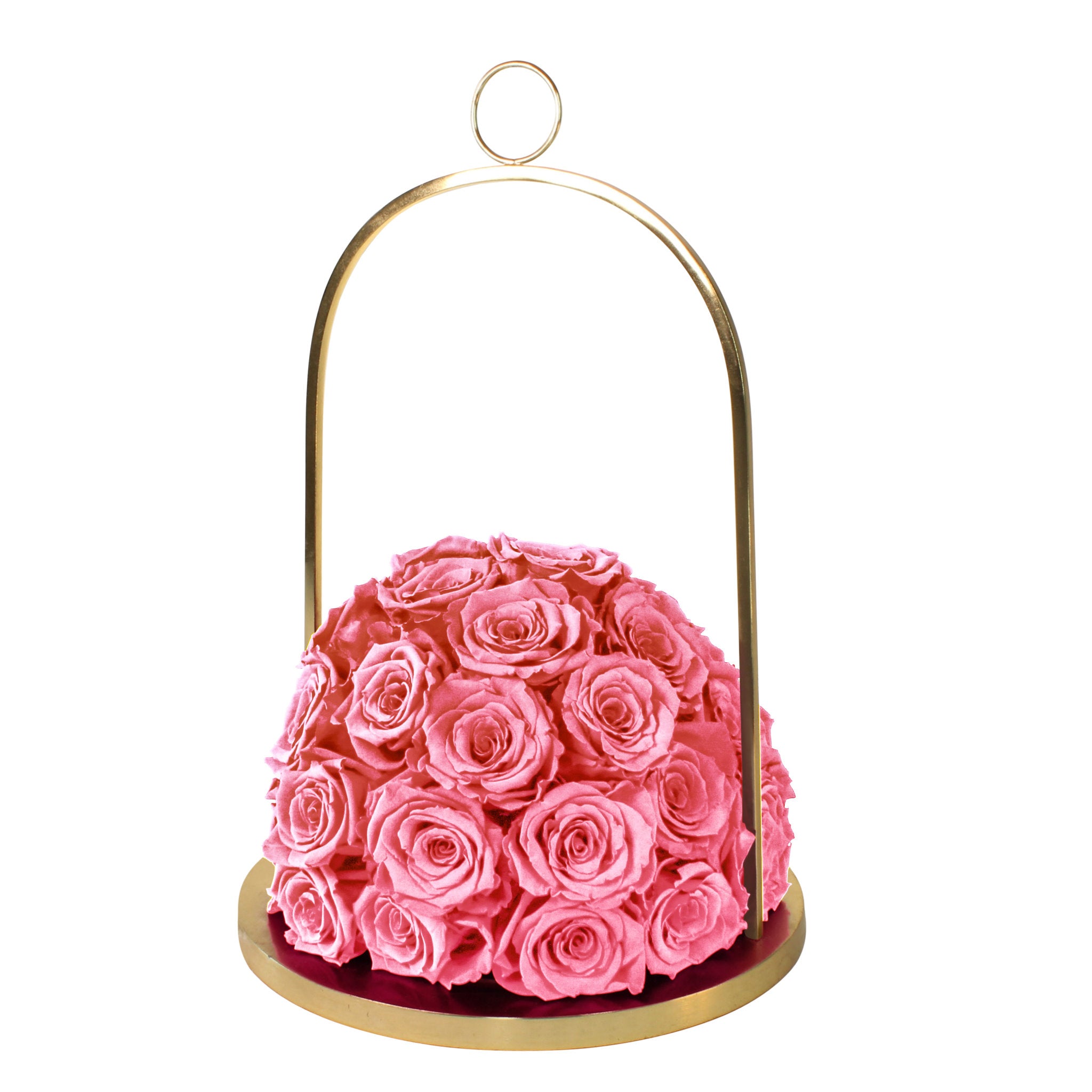 Pink rose ball in a gold holder on a white background