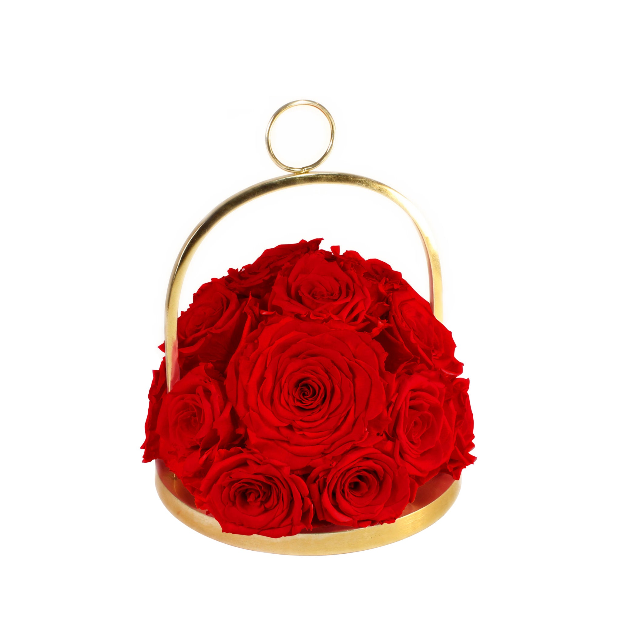 Gold hoop with red roses on a white background