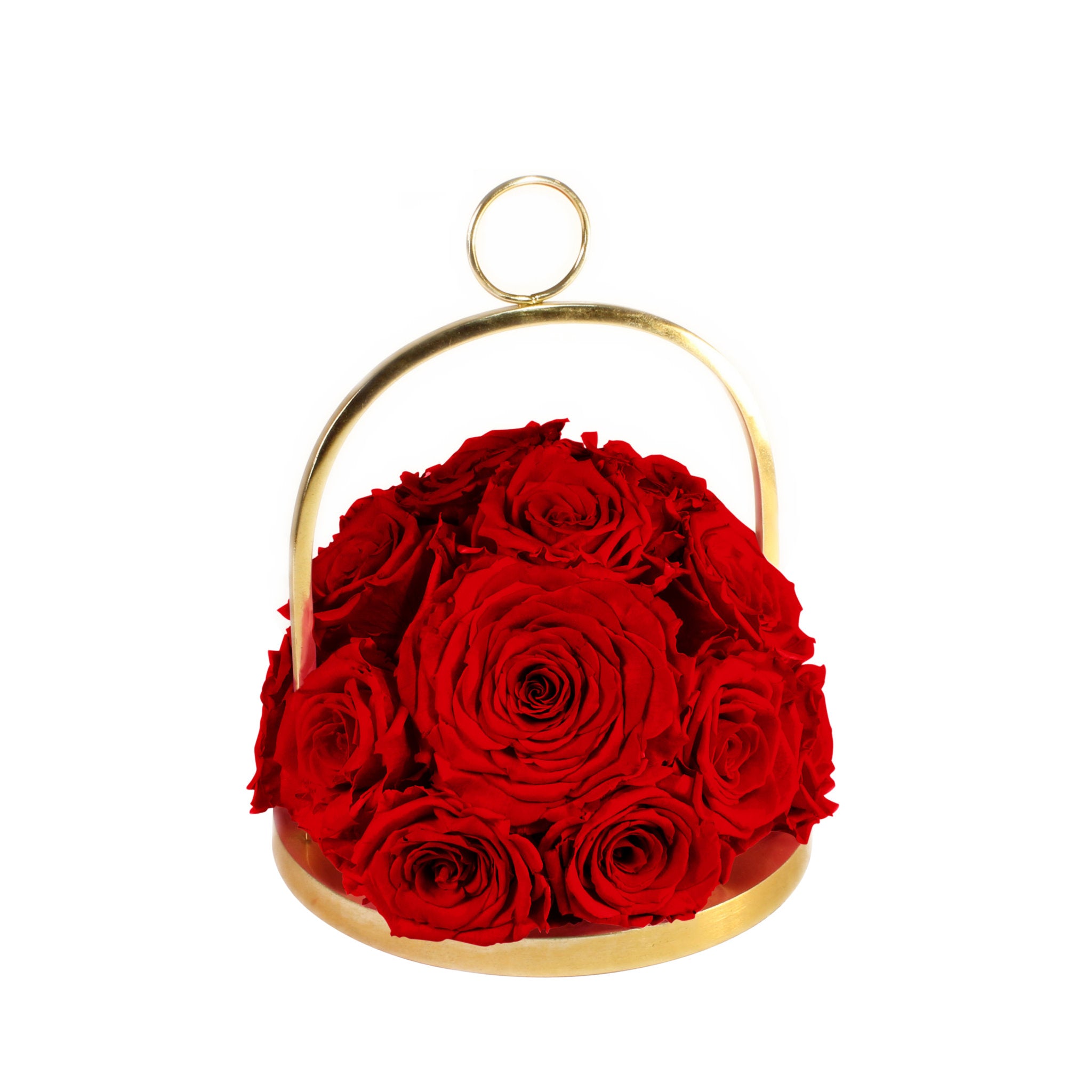 Gold hoop with red roses on a white background