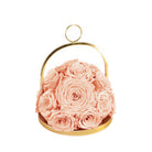 Pink roses in a gold metal basket on a white background