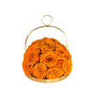 Gold hoop with orange roses on a white background