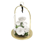 Glass dome with gold base containing white roses on a white background