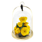 Yellow roses under a glass dome with a gold base on a white background