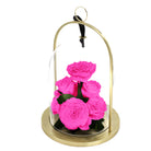 Pink roses in a glass dome with gold base on a white background