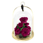 Purple roses under a glass dome with a gold base on a white background