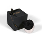Black rose in a silver holder next to a black box with 'Only Roses' branding on a white background