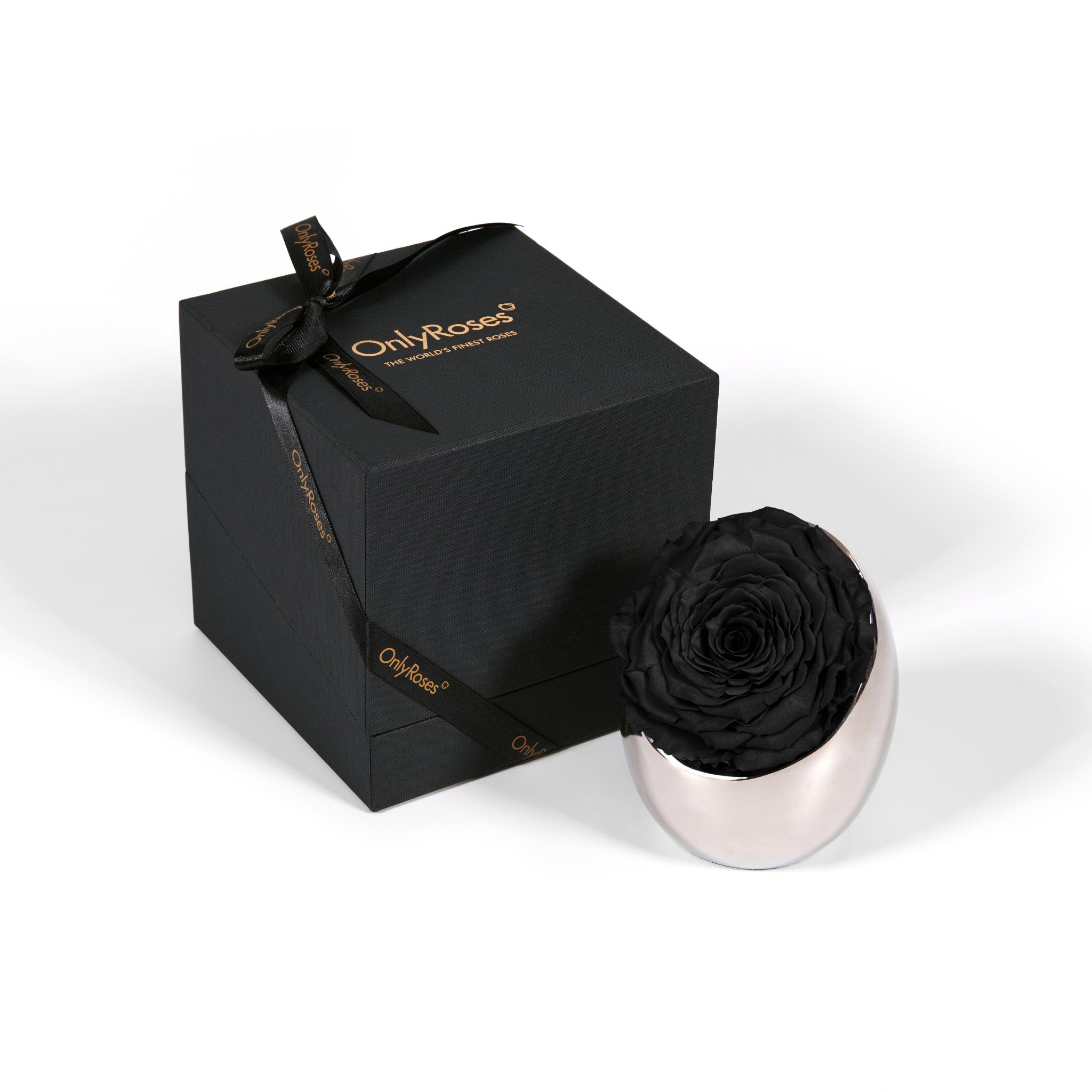 Black rose in a silver holder next to a black box with 'Only Roses' branding on a white background