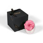Pink rose in a silver holder next to an 'Only Roses' black box on a white background