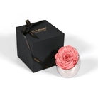 Pink rose in a silver holder next to an 'Only Roses' black box on a white background