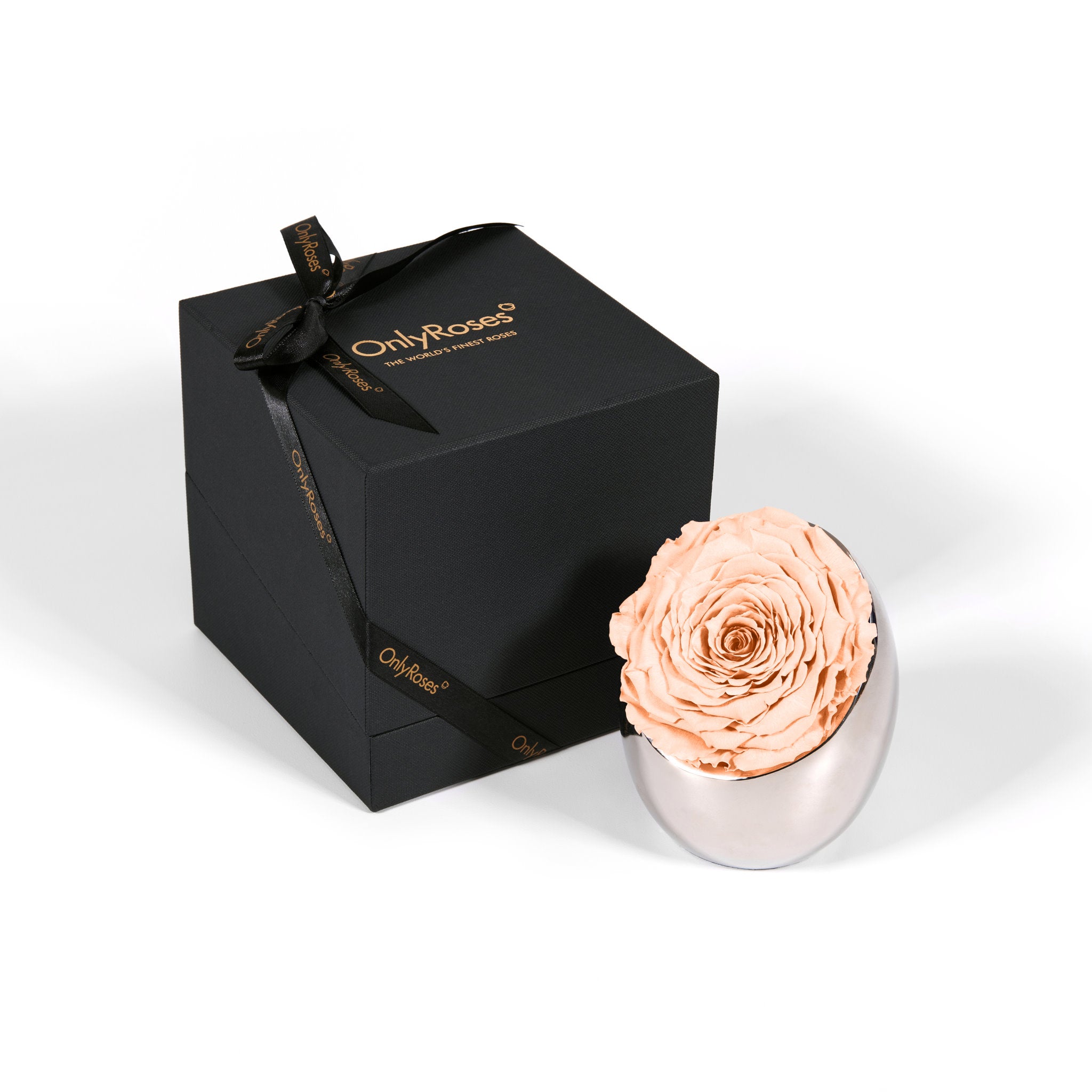 Black gift box with a peach-colored rose and 'Only Roses' branding on a white background