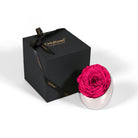 Pink rose in a silver holder next to an 'Only Roses' black box on a white background