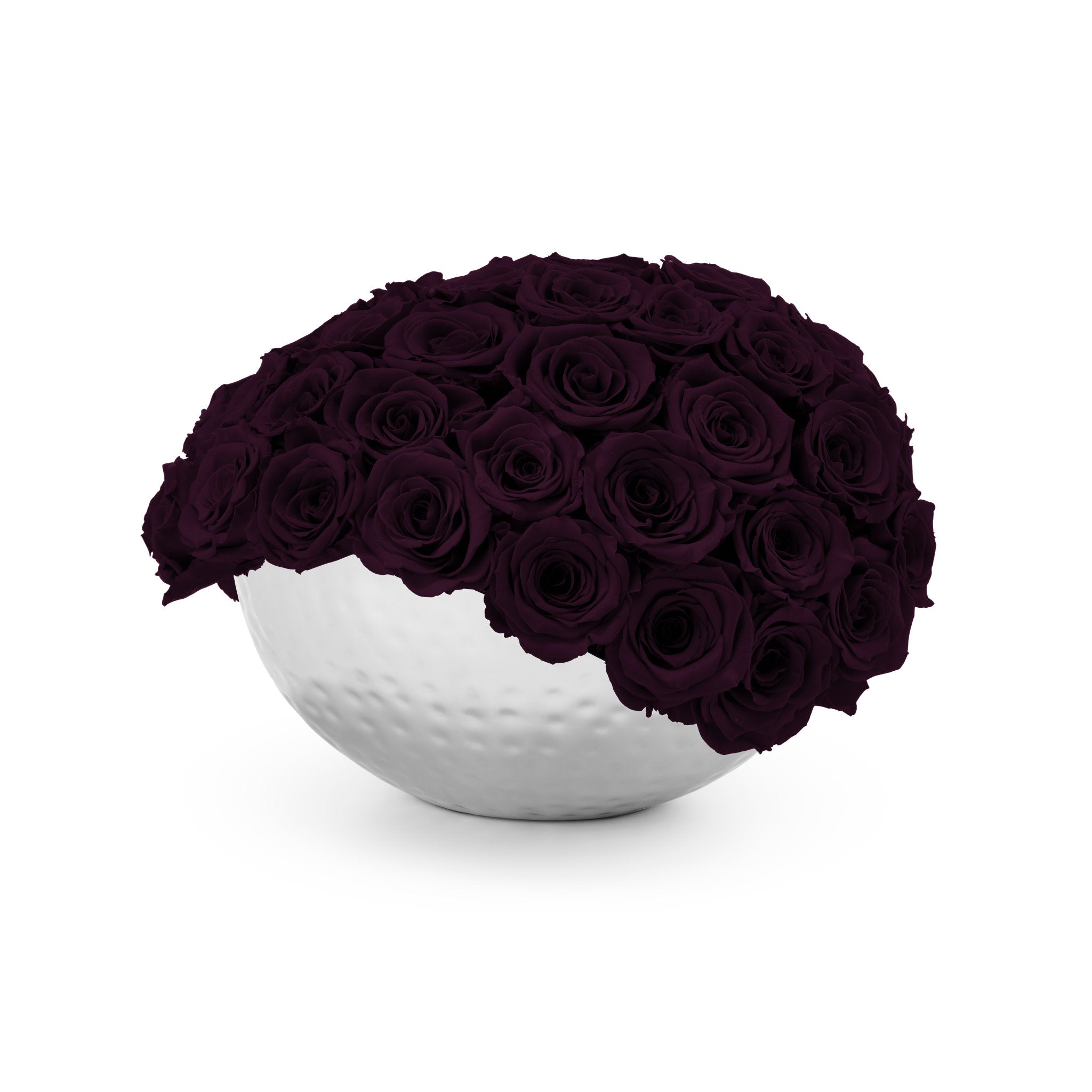 White spherical vase filled with dark purple roses on a white background