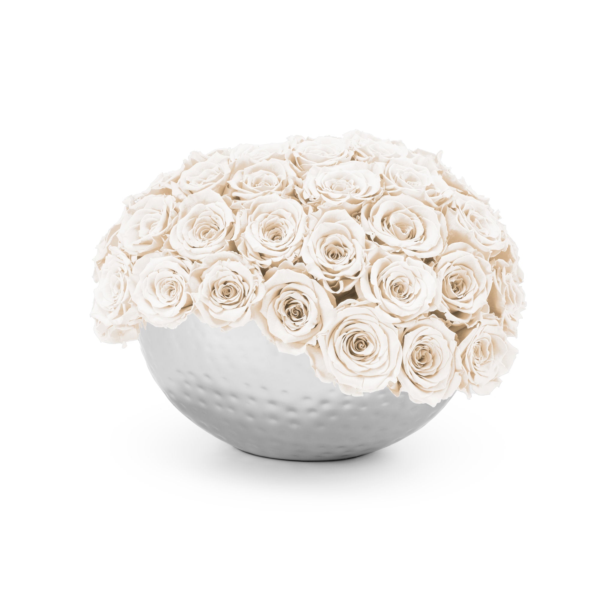 White spherical vase filled with white roses on a white background
