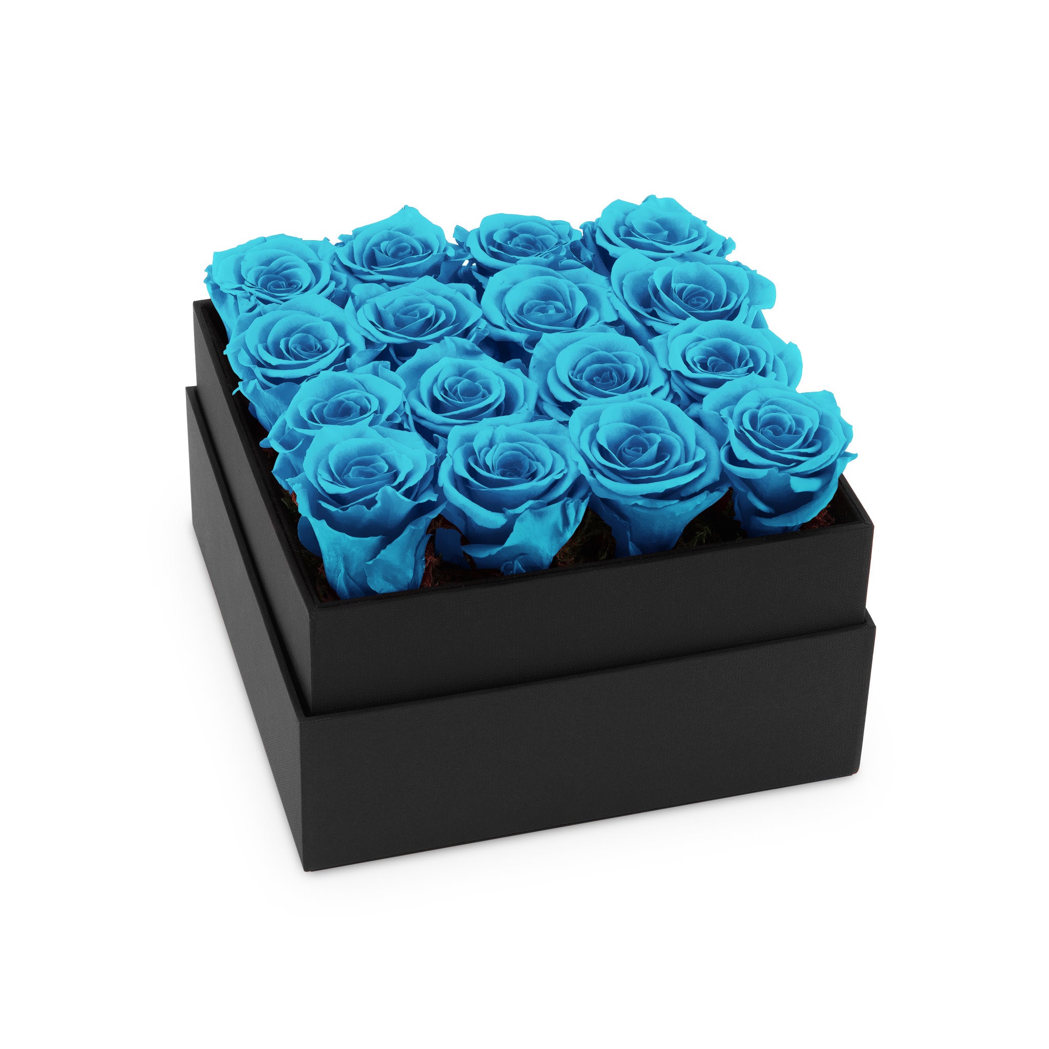 Black box with blue roses on a white background