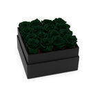 Black box with dark green roses on a white background