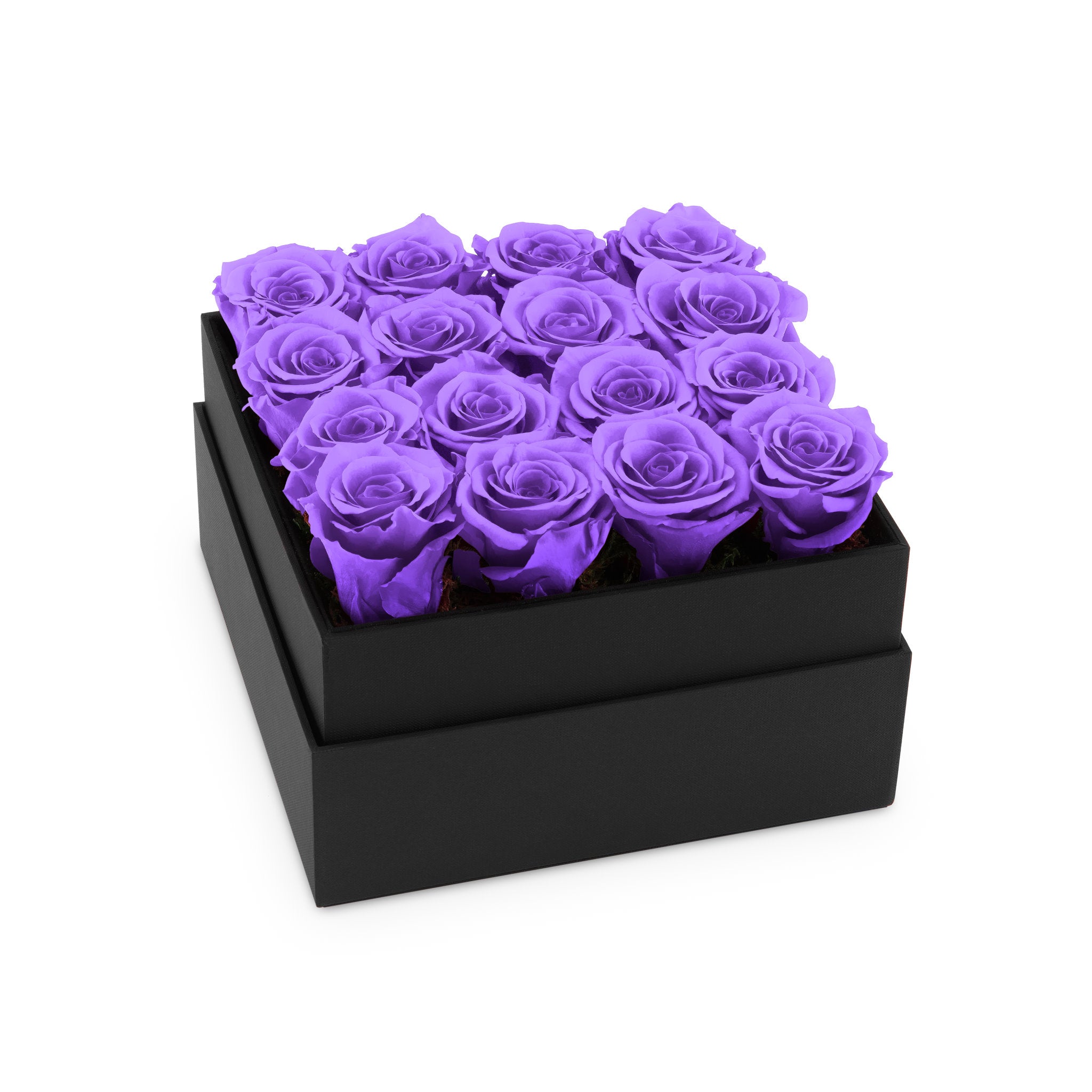 Black box with purple roses on a white background