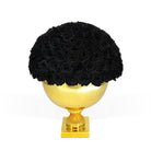 Black roses on a gold pedestal against a white background