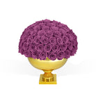 Purple roses in a gold vase on a white background