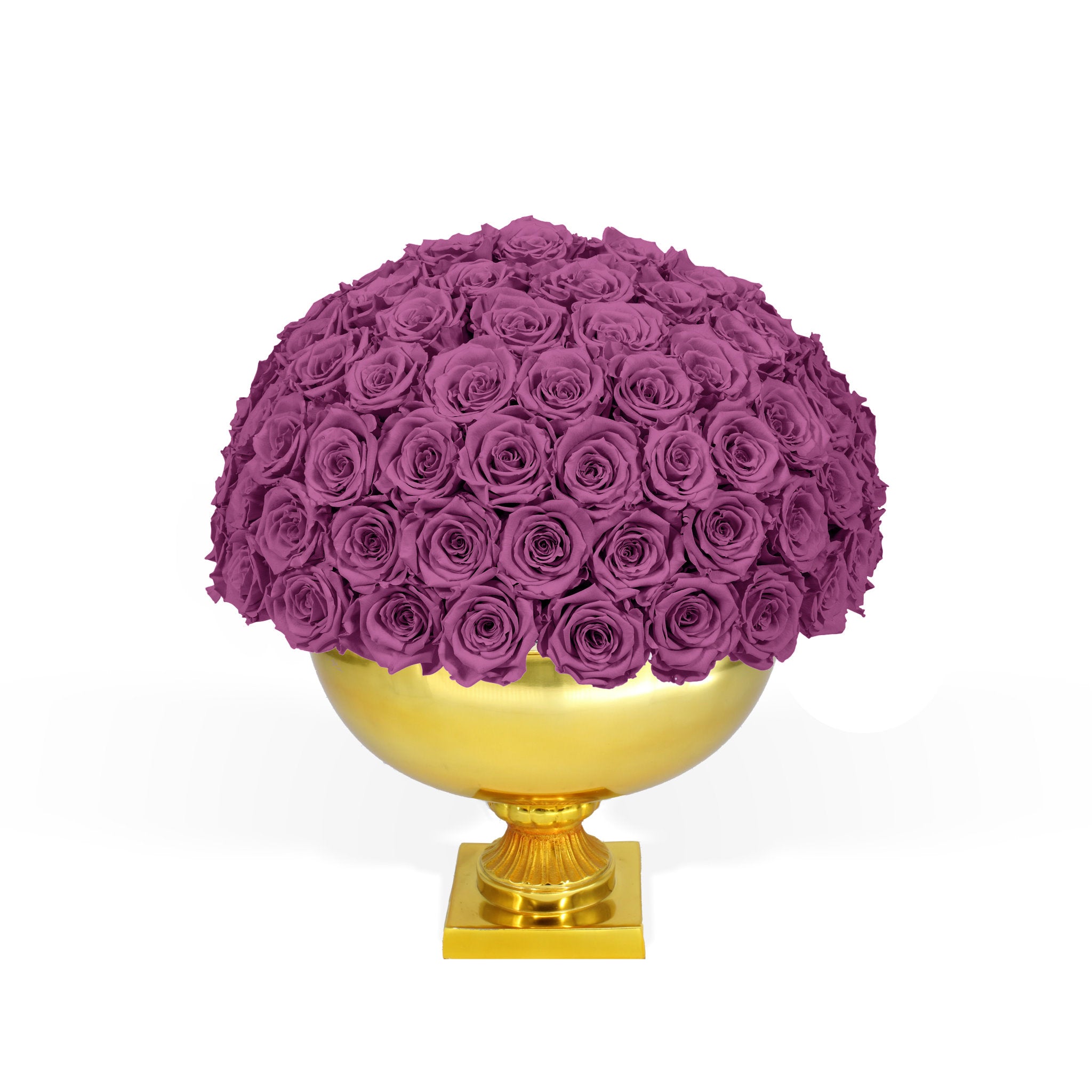 Purple roses in a gold vase on a white background